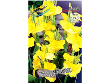 Canna (green) Richard Wallace 103,3 �. �� 2 ��.jpg
