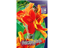 Canna (green) Rosemond Coles 103,3 �. �� 2 ��.jpg