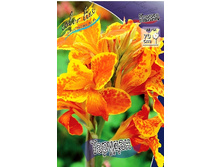 Canna (green) Taroundant 103,3 �. �� 2 ��.jpg
