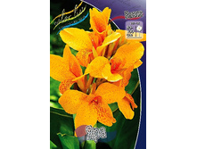 Canna (green) Yara 103,3 �. �� 2 ��.jpg