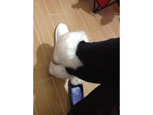 062813439��.jpg