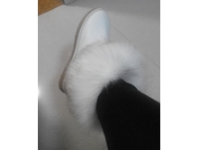 665216780.jpg