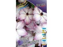 Clematis Fond Memories 952,7�. �� 5 ��.jpg