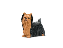 250929 ����������� ������ 200�.jpg