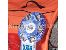 ����� ��� ��������� � ���� ��� �������