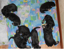 ����� �� ��� � ������� 8 ���� 010.jpg