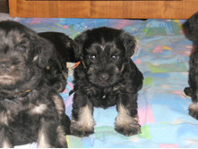 ����� �� ��� � ������� 8 ���� 002.jpg