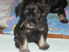 ����� �� ��� � ������� 8 ���� 003.jpg