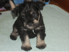 ����� �� ��� � ������� 8 ���� 005.jpg