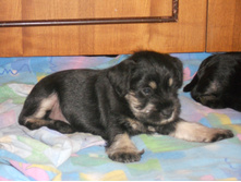 ����� �� ��� � ������� 8 ���� 006.jpg