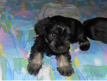 ����� �� ��� � ������� 8 ���� 007.jpg