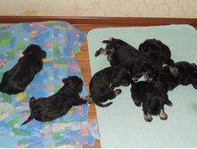 ����� �� ��� � ������� 8 ���� 008.jpg