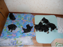 ����� �� ��� � ������� 8 ���� 009.jpg