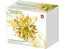 502 ����� ��� ���������� ������ , ���������� ���������  �������