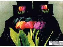 ���. TS*01-1*5A