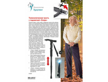 ������ ��������������� � ���������� «�����» (Walking stick) - 407 ���