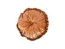 ������� ������������ ������� ����� (�����).jpg