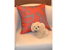 ������� ������������ ������ (�������).jpg