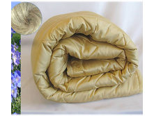 ������ �� ����.jpg