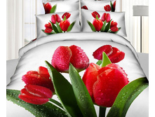 ���. TS*02-8*35