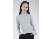 ��������� �������� �-� 134 (���������) 650 ���.png