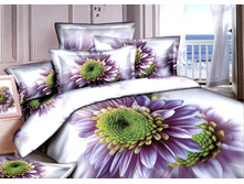 ���. TS*03-80*5