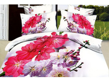 ���. TS*03-81*5/*2