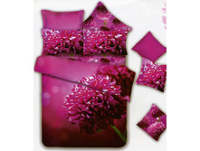 ���. TS*03-8*27 ����������