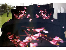 ���. TS*03-9*23