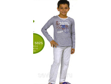 ������ 5825.jpg