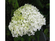 128���. ��������� ����������� �����������.jpg