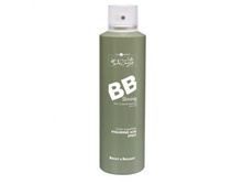 BB Shining Spray Hair Company �����-����� ��� ������ ����� –  200 ��..jpg