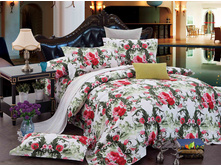 ���. MO*MAE5*9 ���10*31