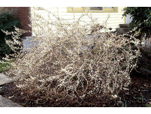 ������������� ��������� �����-157