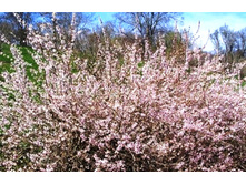 �������������-��������� �������.157�