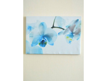 ������� ����� �������.jpg