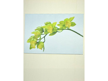 ������� ����� ������.jpg