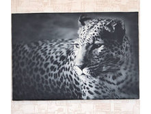 ������� 1.jpg