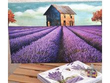 ��������� ����.jpg