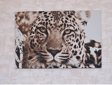 ������� 2.jpg