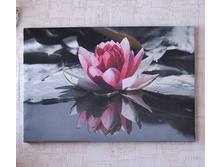 ����� 1.jpg