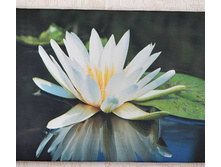 ����� 2.jpg