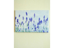 �������� �������.jpg