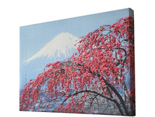 ������ 2.jpg