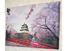 ������ 3.jpg