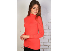 ���������  ����: 300 ������