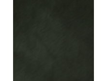 01K0075.jpg