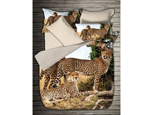 ���. 13*31-0*6