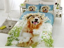 ���. 13*31-3*0