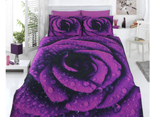 ���. 13*31-5*0